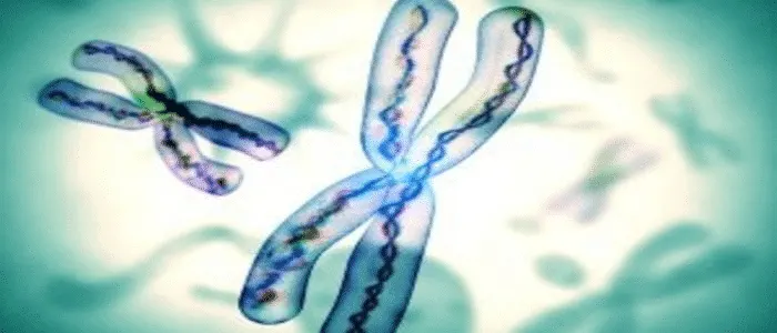 genetische Veranlagung