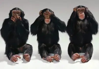 la expresión de las emociones en el hombre y en los animales