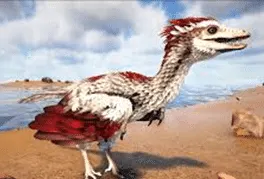 Archeopteryx