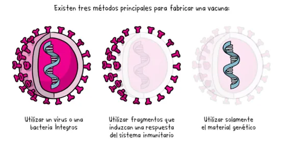 Vaccine methodology