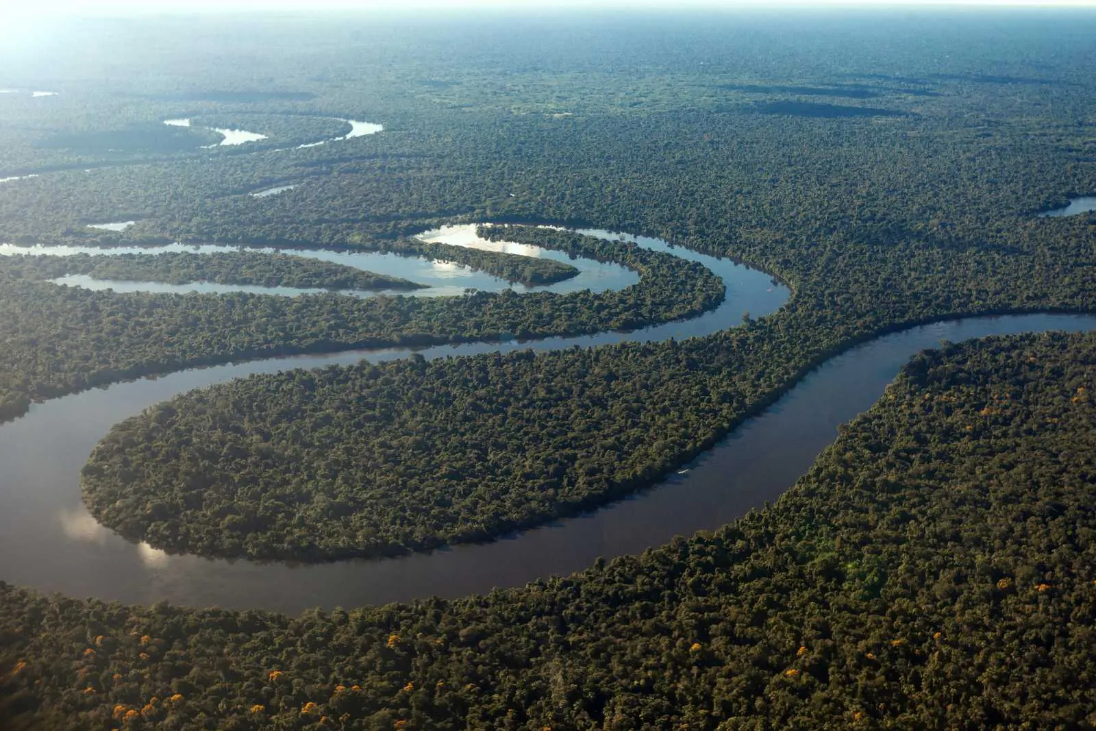 Amazonas