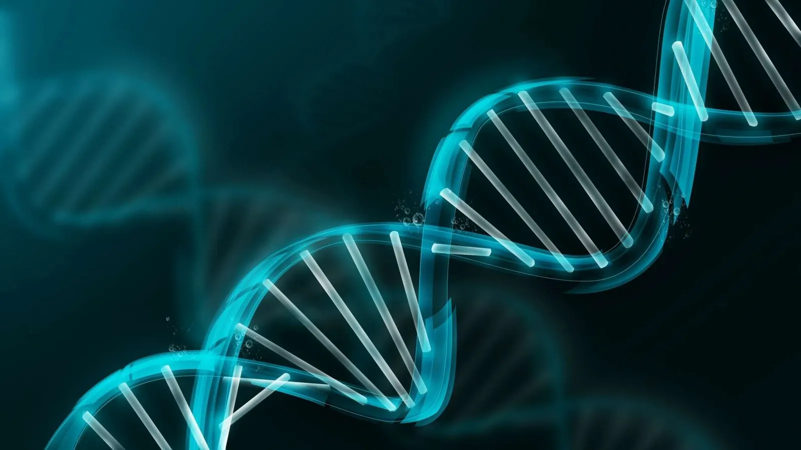 DNA helix
