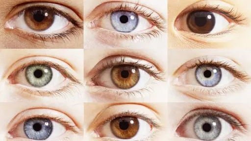 Different eye colors