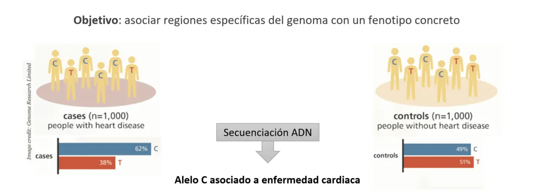 Estudios de asociación genética (GWAS) - Ejemplo