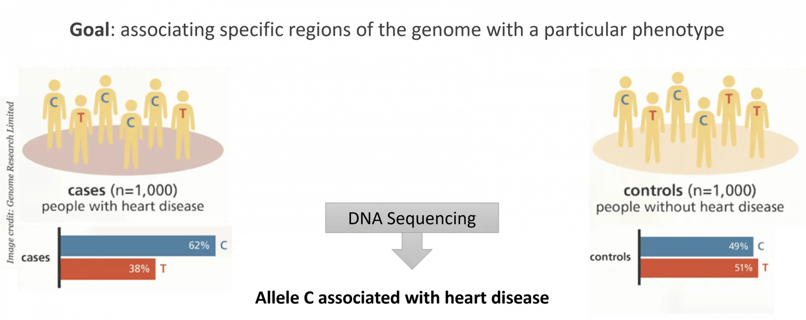 Genetic association studies (GWAS) - Example
