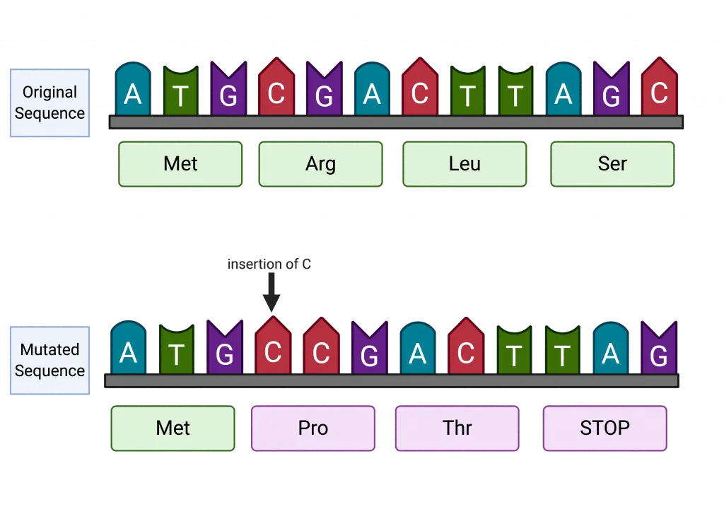 Mutation by change in the reading frame 