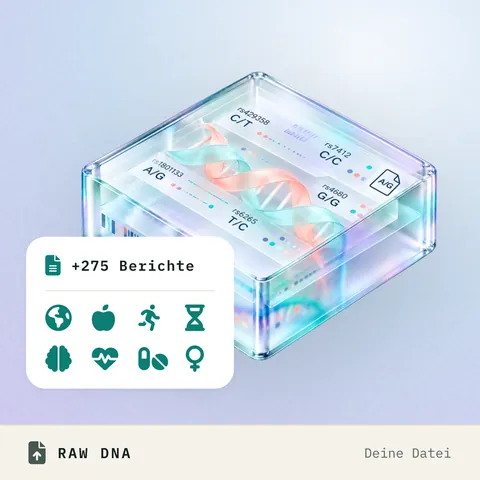 Genetische Datei eines anderen Anbieters, dargestellt als durchscheinender Datenblock mit den acht Berichtsbereichen, die sie freischaltet