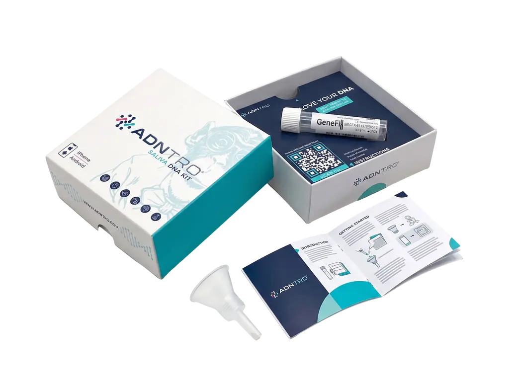 Contenido del kit de saliva de ADNTRO: caja, tubo de recogida, embudo y guía de instrucciones