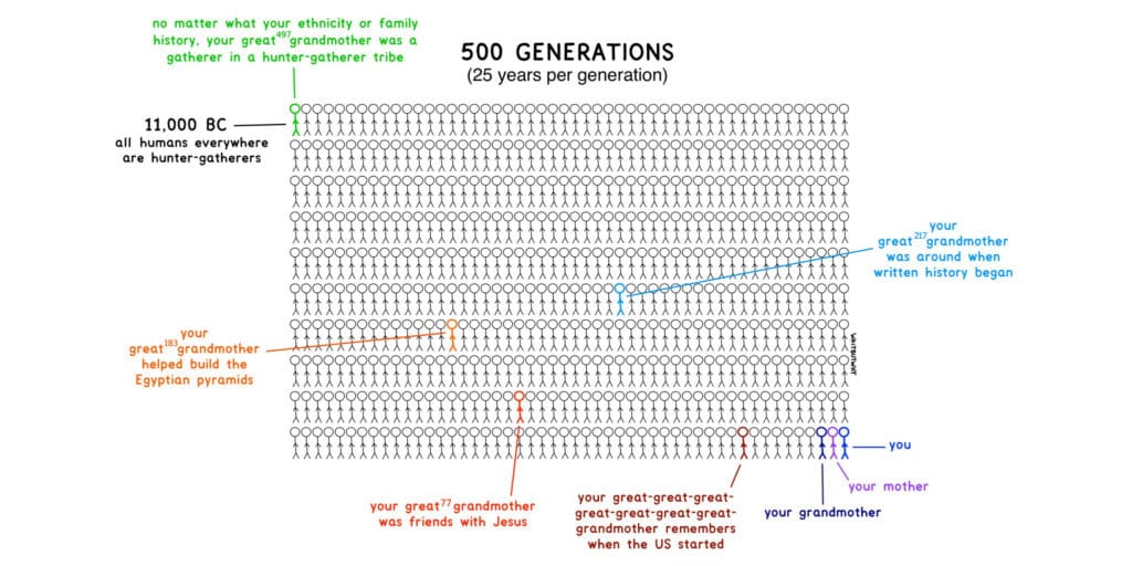 evolución 500 generaciones