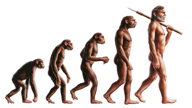 history of man through genetics