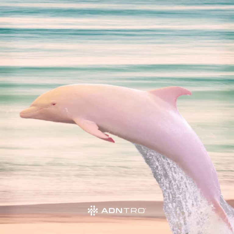 My Image 23