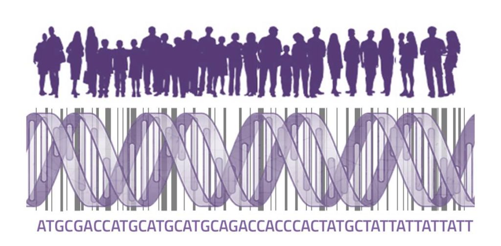  cuantificar la diversidad genetica