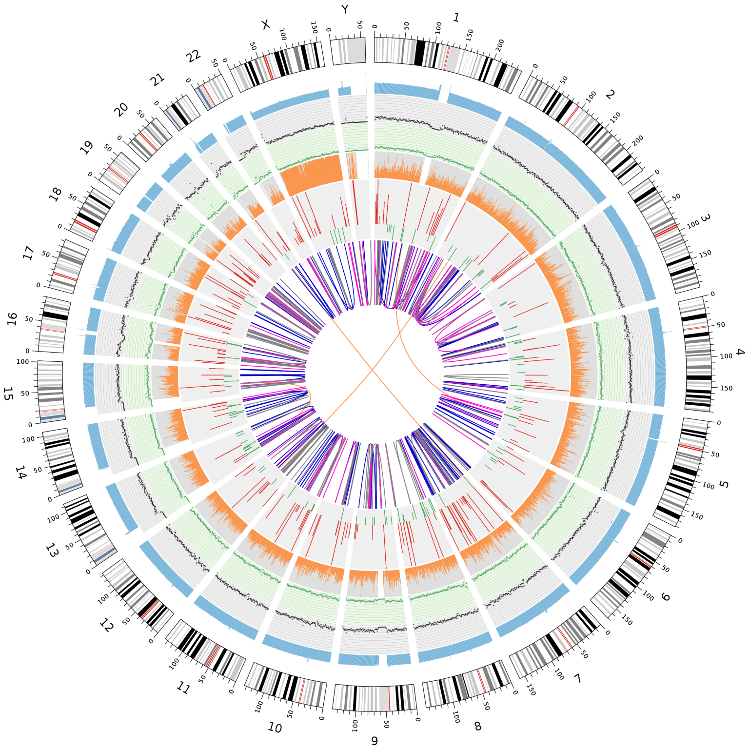 Whole Genome Sequencing Decodifica el 100% de tu genoma | ADNTRO