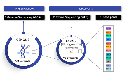 Differentiate genome, exome and gene panels.