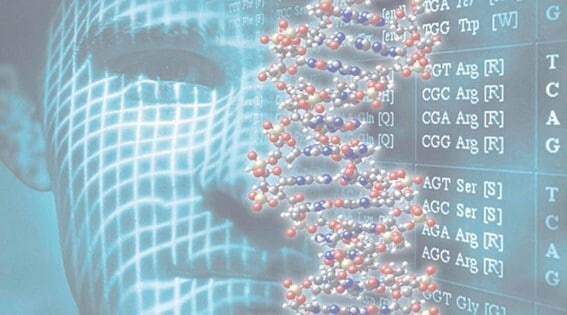 human genome