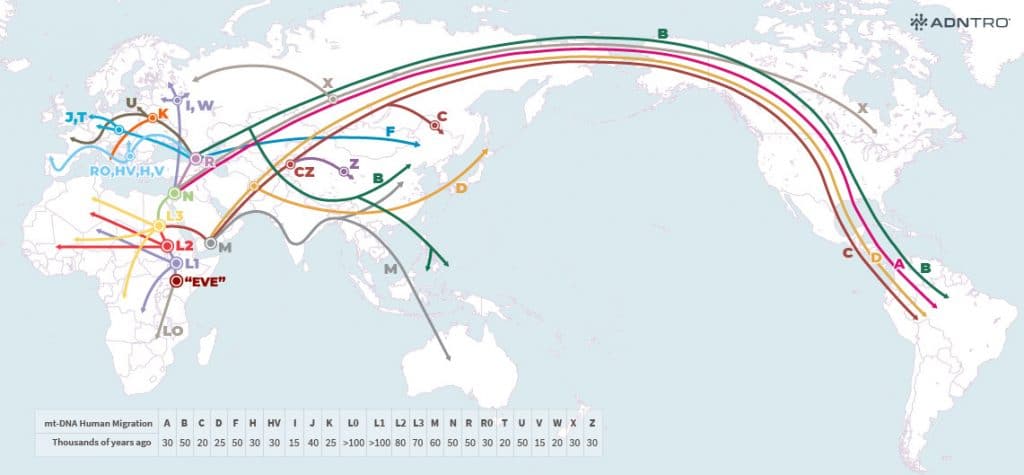 haplogroup map maternal lineage