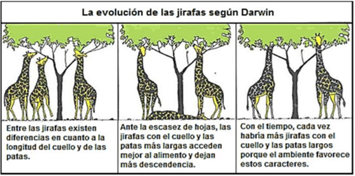 Darwinismus