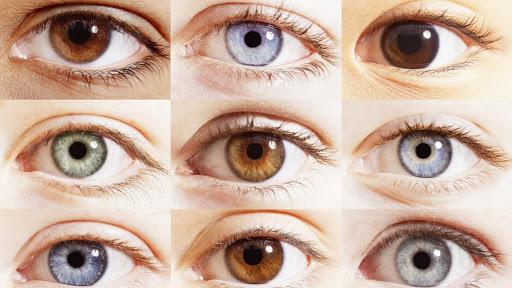 Distintos colores de ojos