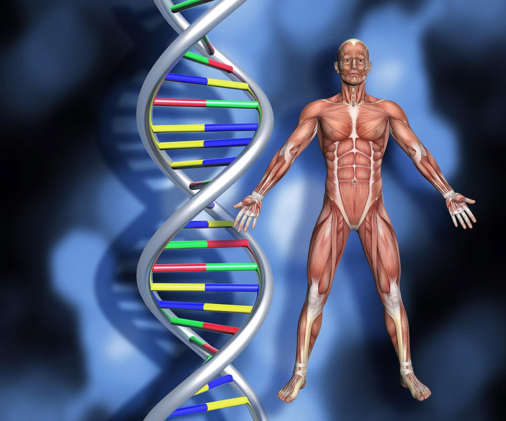 test ADN genetico ancestria origenes