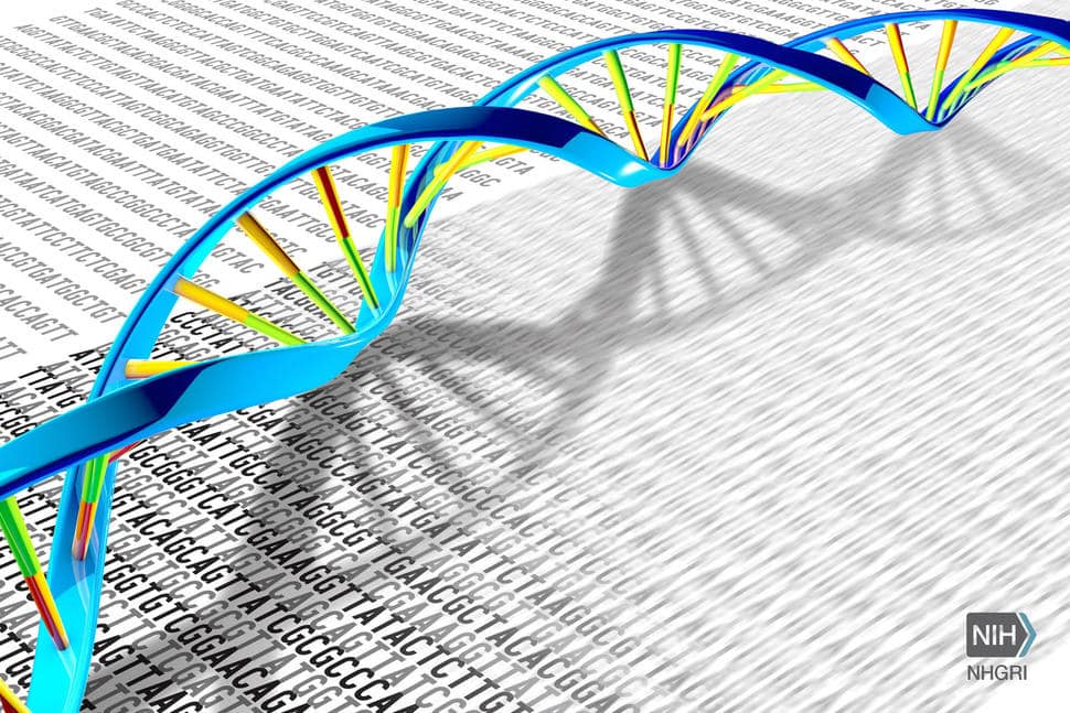 Decoding the genetic code