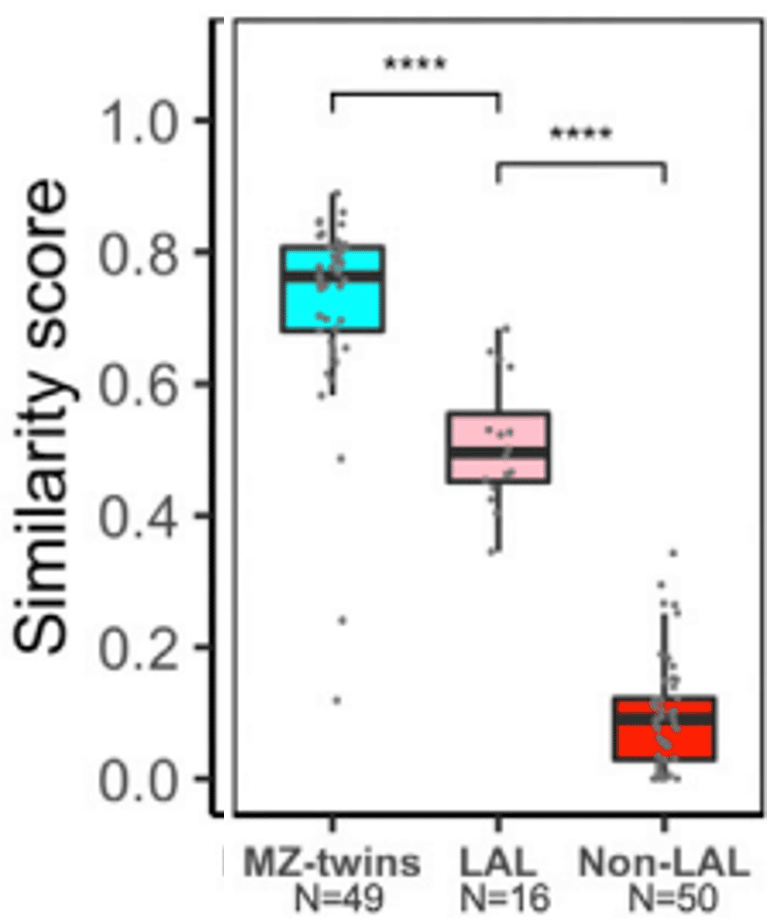 Similarity between monozygotic or identical twins (MZ-twins), unknown twins (LAL) and unrelated persons without physical similarity (Non-LAL).