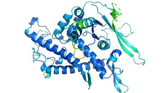 Estructura terciaria de las proteínas