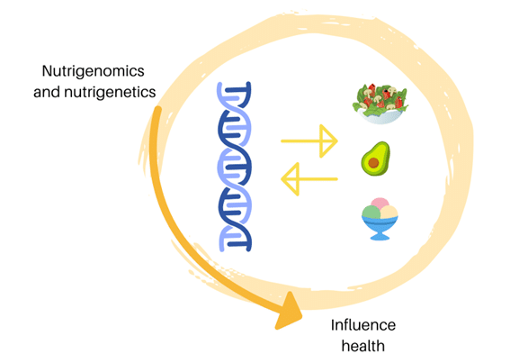 Importance of good nutrition. Nutrigenomics and nutrigenetics
